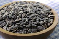 wholesale sunflower seeds