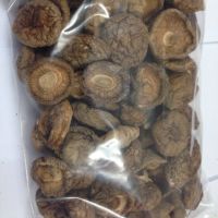 bulk wild natural fresh  whole meaty thick dried mushroom