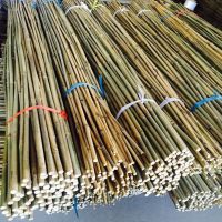 Tonkin Natural Bamboo Cane Bamboo Poles Stakes Sticks for Flower Support