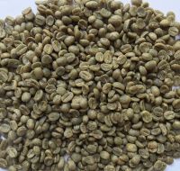 Manufacture Products  Vietnam Robusta Coffee AA-Class 17mu Raw Coffee Bean