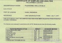 Palm Kernel Shell Biomass