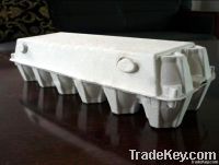 fruit tray/box machine