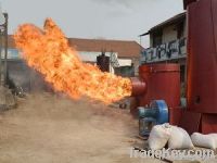 biomass burner for coal-fored boiler