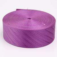 Factory direct sale 1.5 inch purple twill nylon webbing