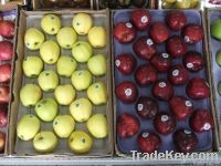 Fresh Apples