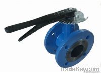 Concentric Double Flanged Butterfly Valve