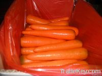 carrots