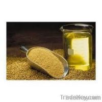 Soya Bean Oil | Refined Soybean Seed Oil Importers | Pure Soybeans Seed Oil Buyers | Crude Soybean Seed Oil Importer | Buy Soybeans Seed Oil | Crude Soybeans Oil Buyer