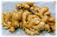 Ginger