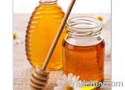 Honey & Honey Products - Honey