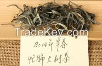2014 Mang Fei Early Spring Sheng Puer Loose Tea