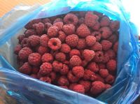 IQF frozen raspberry