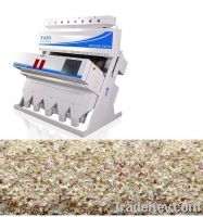 Dehydrated Onion Sorting Machine