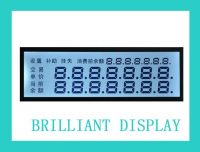 Brilliant Display LCD Module Htn Be Customizerd