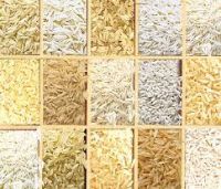 Rice Types