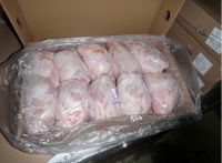 FROZEN  HALAL WHOLE CHICKEN