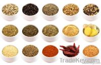 Dry & Fresh Spices or Herbs OEM Large Quantity