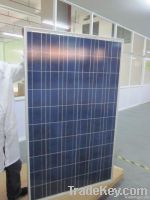 230w Poly Solar Panel