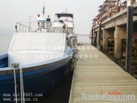 Pontoon system, finger pontoon system, access bridge, gangway, floatis