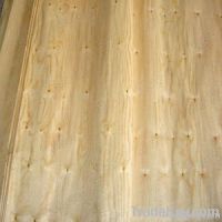 Rotary  Pine  Veneer