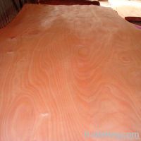 Rotary Okoume Veneer