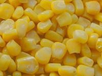 CORN (PRODUCT OF DESTINY )