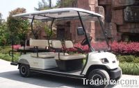 LVTONG 6 seaters electric passenger buggy