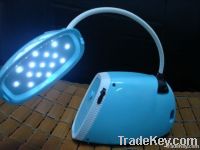 Lucky Dragon touchable LED Lamp