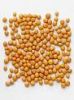 Yellow Mustard seeds