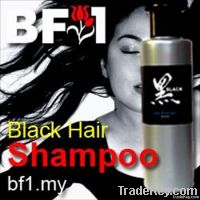 Black Hair Shampoo