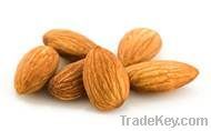 Almond Supplier | Almond Exporter | Almond Manufacturer| Almond Trader | Almond Buyer | Almond Importers | Import Almond