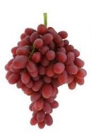 https://ar.tradekey.com/product_view/Crimson-Grapes-3311151.html