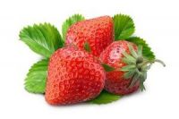 Camarosa strawberries