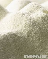 Export Skimmed Milk Powder | Full Cream Milk Powder Suppliers | Skimmed Milk Powder Exporters | Full Cream Milk Powder Traders | Skimmed Milk Powder Buyers | Full Cream Milk Powder Wholesalers | Low Price Skimmed Milk Powder | Full Cream Buy Milk Powder |