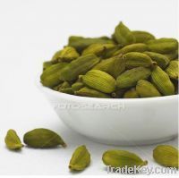 Coorg Green Cardamom