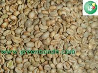 Sun-dried Ethiopian Jimma Coffee beans