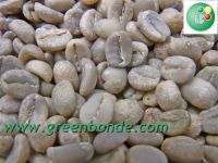 Washed Ethiopian Limu Cofffee beans