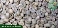 export Arabica Coffee beans,Arabica Coffee bean importer,Arabica Coffee beans buyer,buy Arabica Coffee beans,Arabica Coffee bean manufacturer,best Arabica Coffee bean exporter,low price Arabica Coffee beans,best quality Arabica Coffee bean,Coffee bean sup