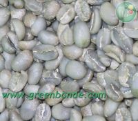 Export Green Coffee Beans | Green Coffee Bean Importer | Green Coffee Beans Buyer | Buy Green Coffee Beans | Green Coffee Bean Wholesaler | Green Coffee Bean Manufacturer | Best Green Coffee Bean Exporter | Low Price Green Coffee Beans | Best Quality Gree