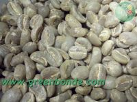 Ethiopian Coffee-Washed Sidama (Sidamo)