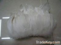 goose feather, goose nageories,