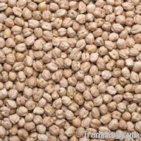 Chick Peas