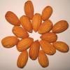 https://www.tradekey.com/product_view/Almond-badam--6414209.html