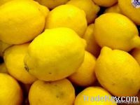 fresh lemon