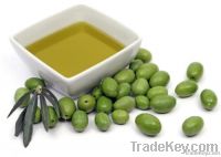 Extra virgen olive oil