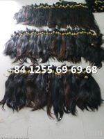 Virgin human hair from Viet Nam