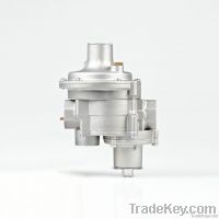 ERG-E Series Gas Pressure Regulator