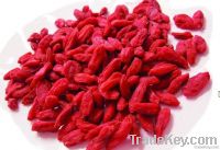 Organic Goji berry