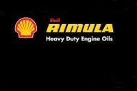 Shell Rimula