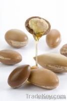 https://www.tradekey.com/product_view/100-Pure-Organic-Argan-Oil-4834737.html